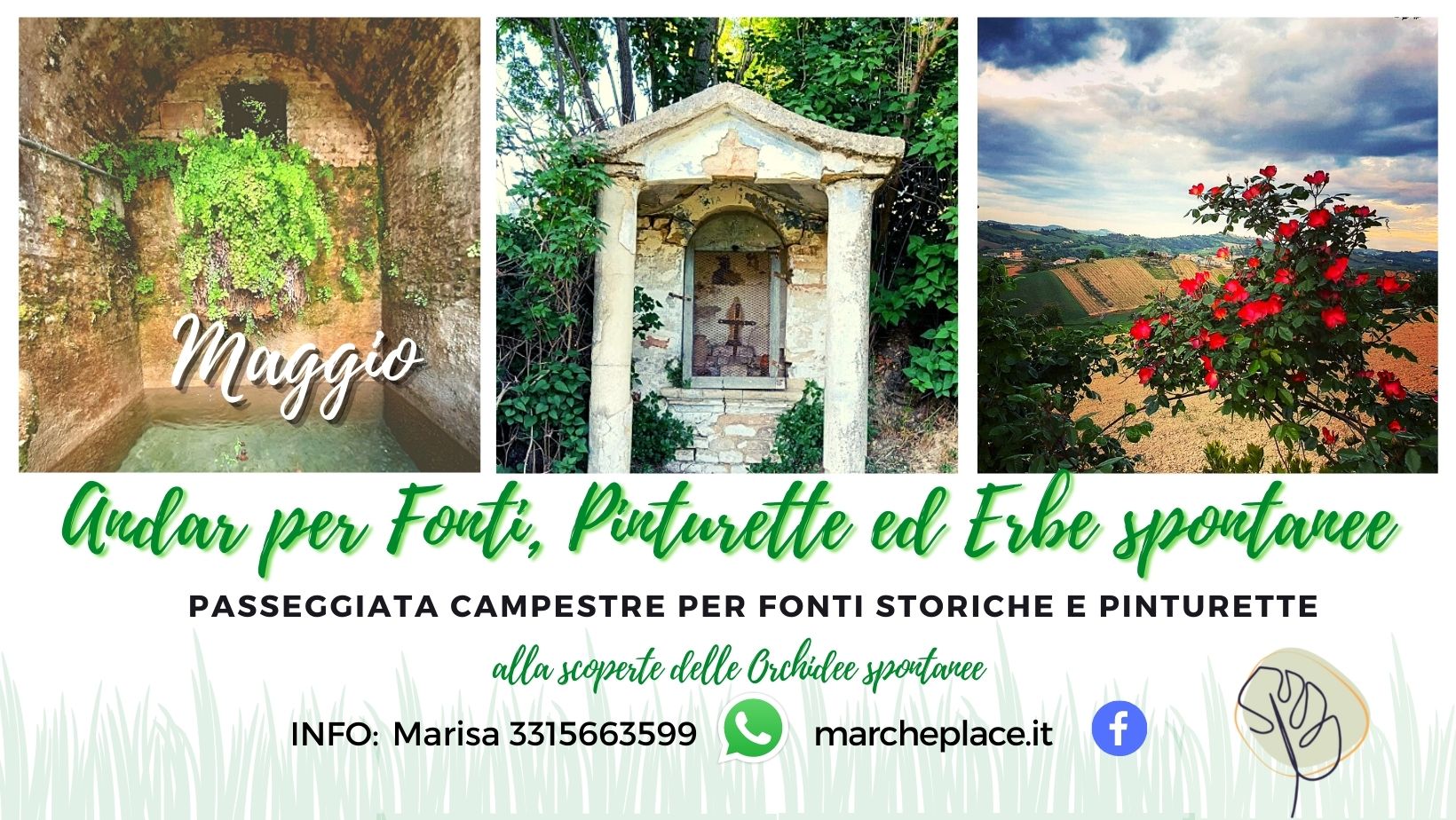 pinturette