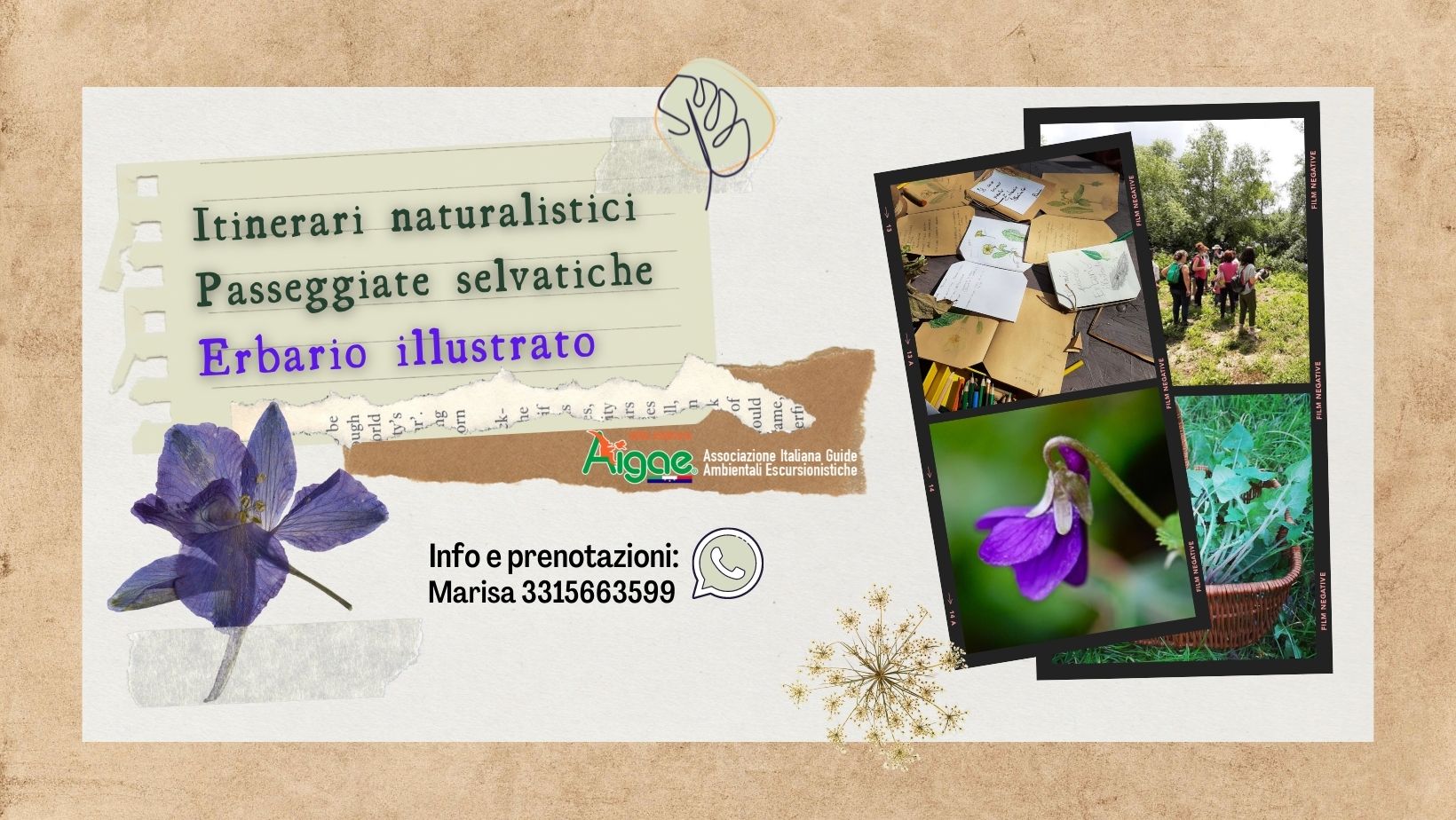 Erbario illustrato