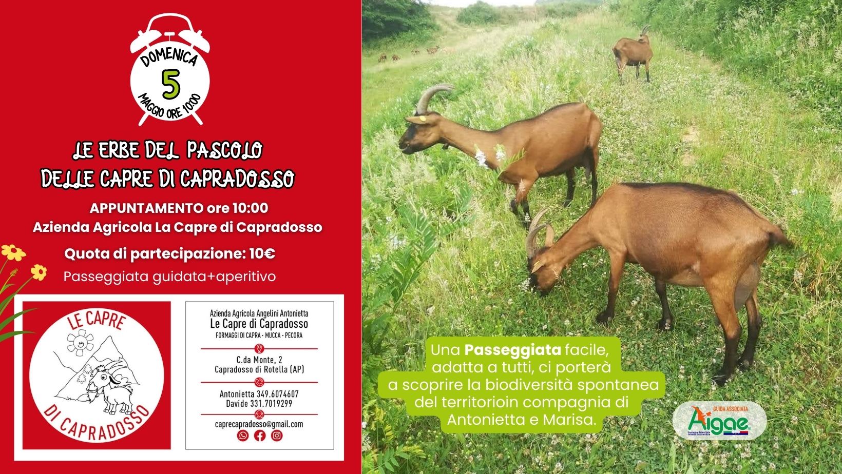le Erbe del pascolo di Capradosso