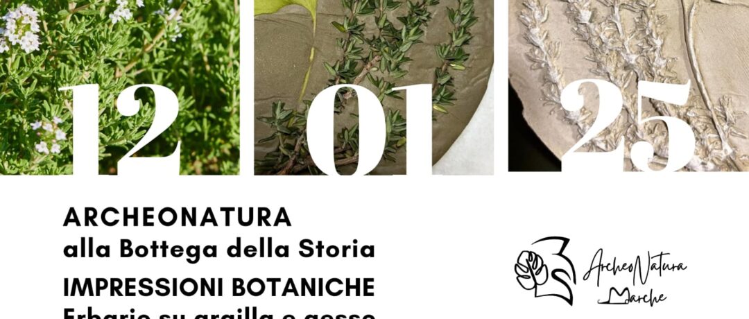 stampa botanica