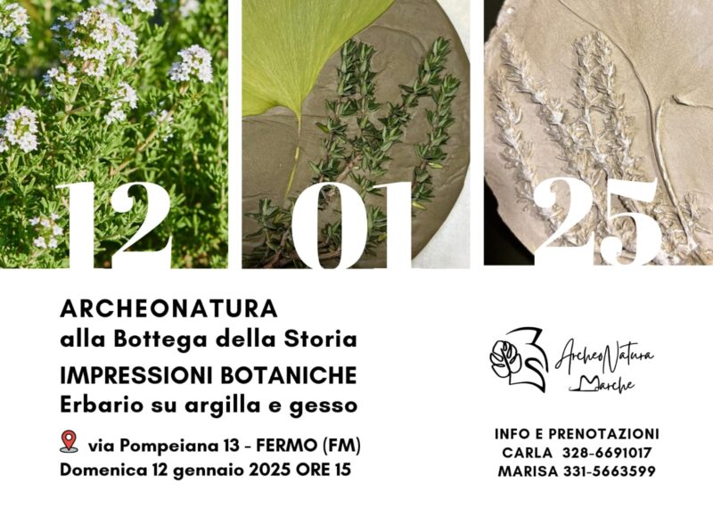 stampa botanica