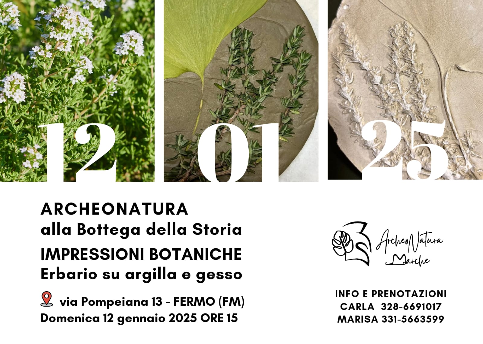 stampa botanica