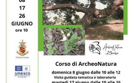 bosco di Monte Cacciù