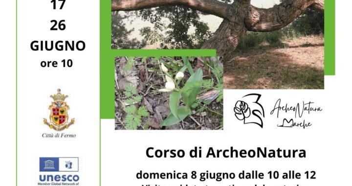 bosco di Monte Cacciù
