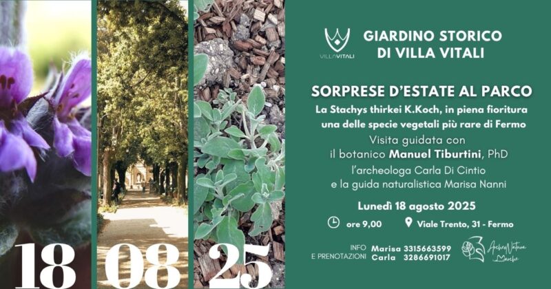 Parco di Villa Vitali