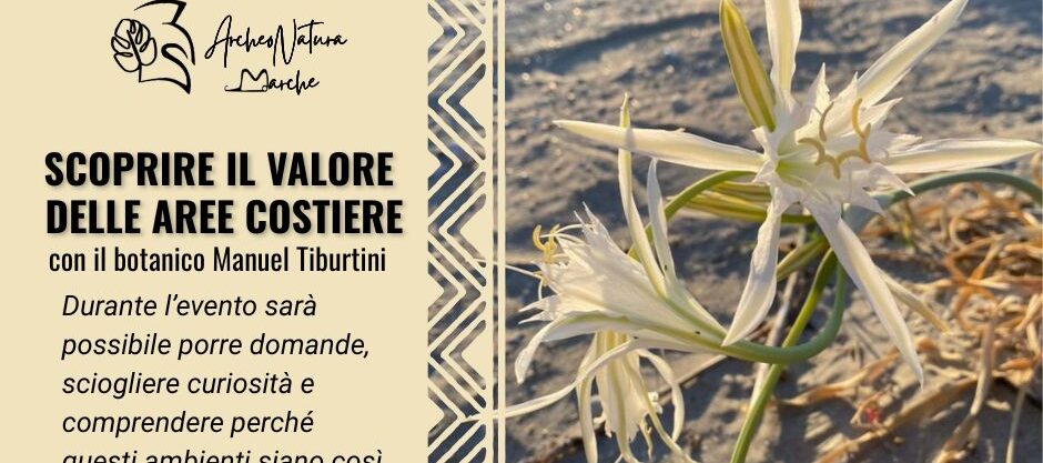 aree costiere, sabbia, dune, botanico, Manuel Tiburtini