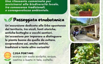 erbe spontanee di settembre