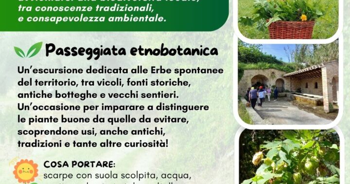 erbe spontanee di settembre