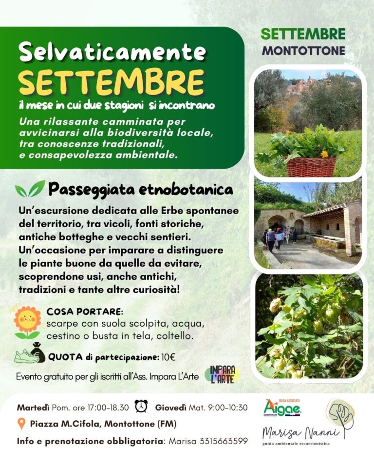 erbe spontanee di settembre